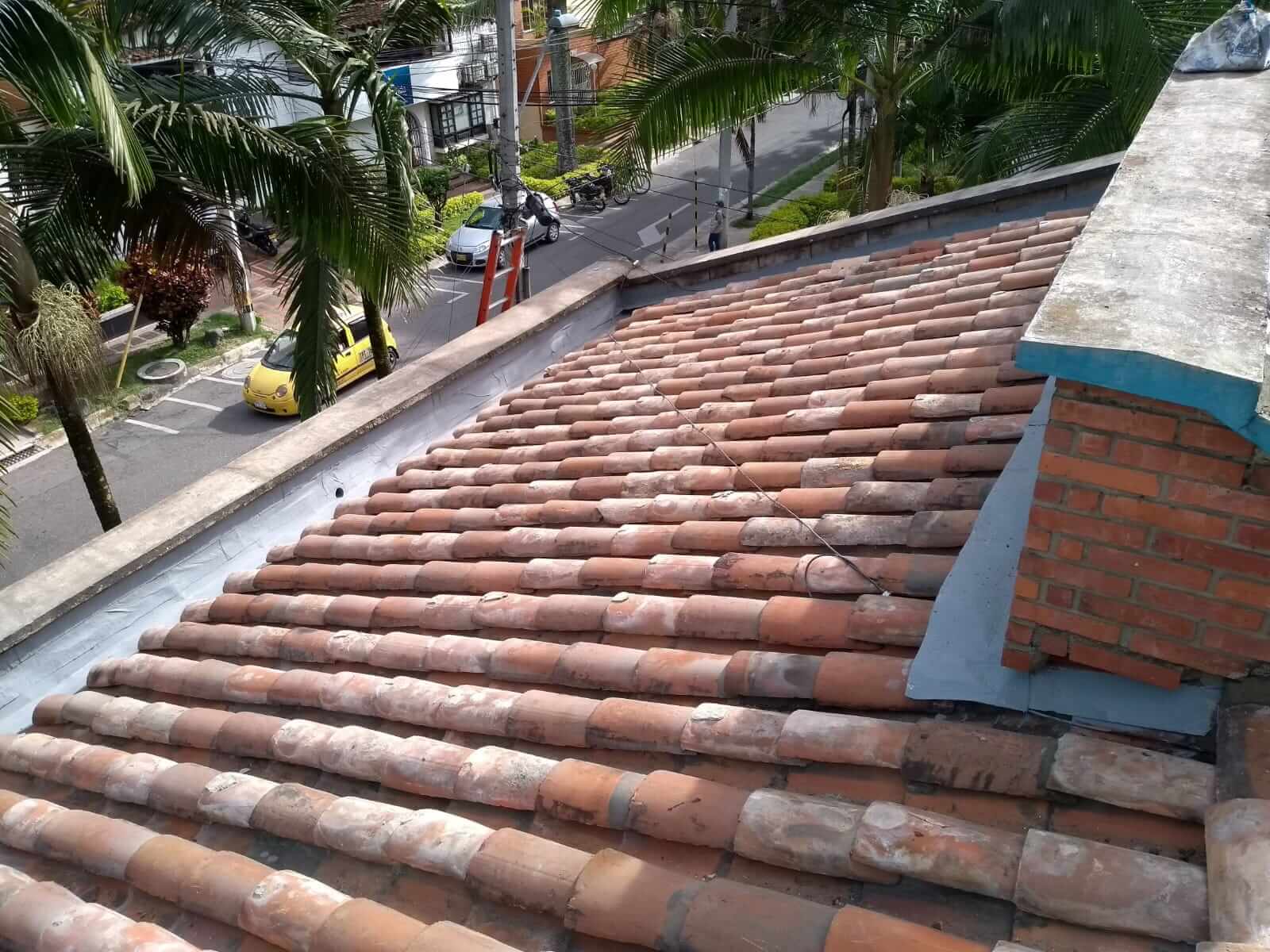 techosycanoas (20)